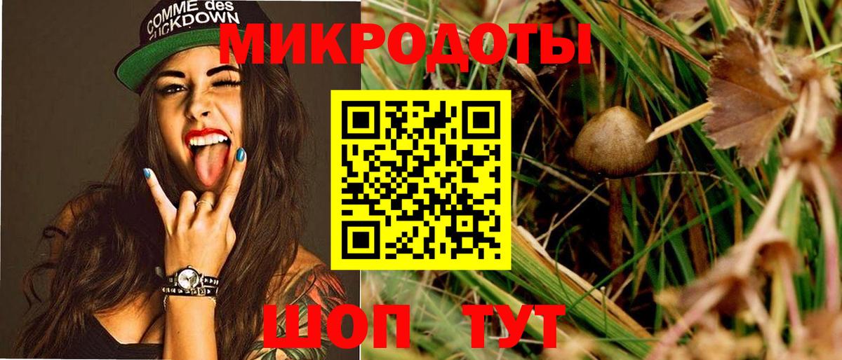 Галлюциногенные грибы Psilocybe Елабуга